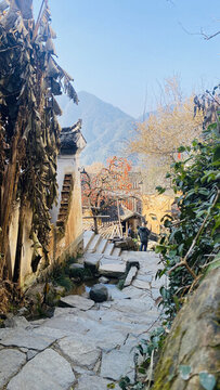 篁嶺鄉(xiāng)村