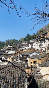 篁嶺鄉(xiāng)村