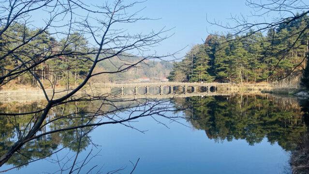廬山如琴湖風(fēng)景