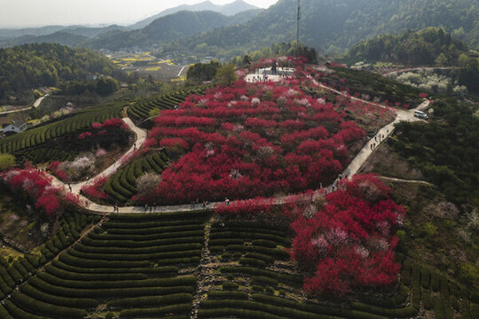 春天風(fēng)光