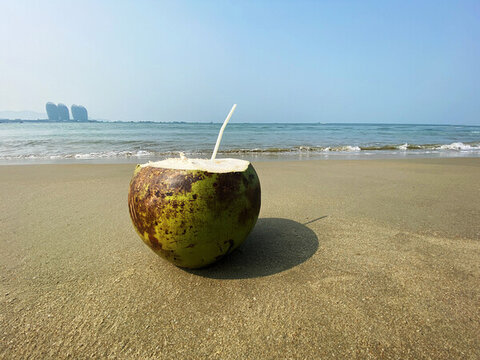 海邊的椰子