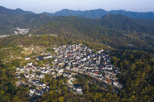 杭州西湖龍井產(chǎn)地翁家山茶園