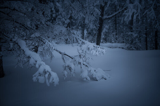 雪鄉(xiāng)