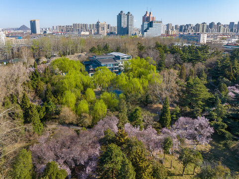 濟(jì)南百花公園