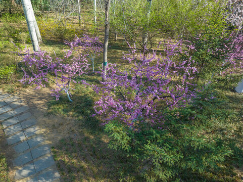 濟南百花公園