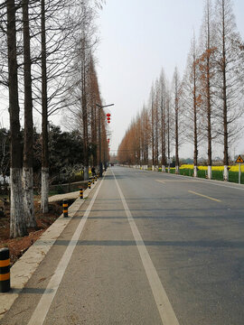 鄉(xiāng)村公路