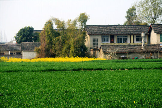 農(nóng)家田園