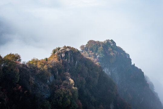 嘉午臺秋景