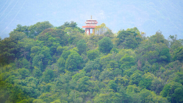 山林樹木舊涼亭