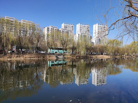 河岸風光