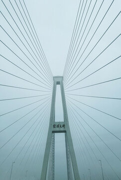 徐浦大橋