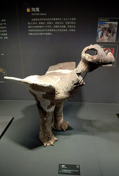 仰韶文化陶鷹鼎