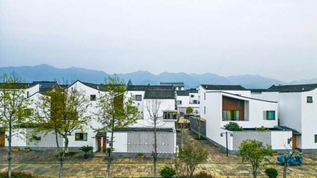 東梓關(guān)