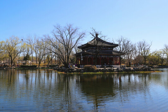 圓明園湖景