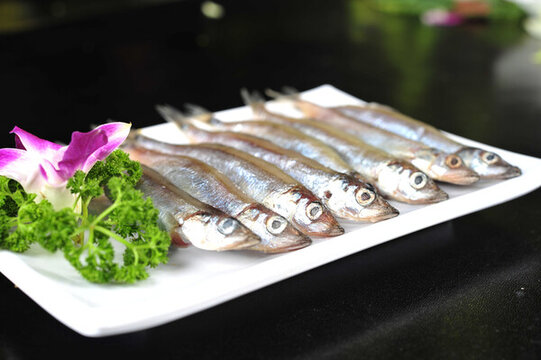 多春魚
