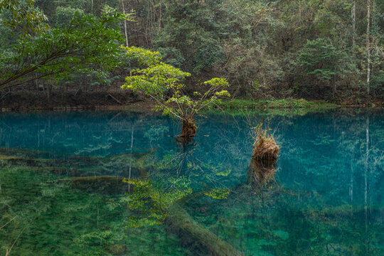 貴州荔波大小七孔景區(qū)