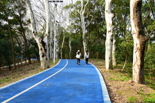 公園道