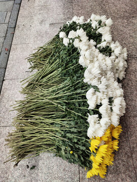 白菊花與黃色菊花