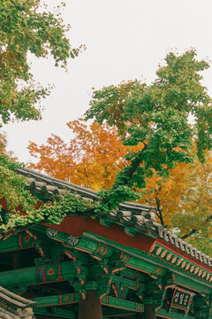 公園一角
