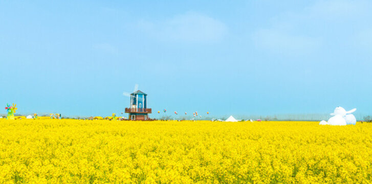 湖南省第四屆油菜花節(jié)