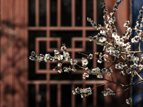 杭州永福寺