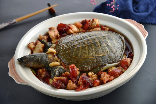 甲魚窩骨筋