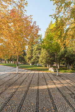 秋季中國遼寧撫順的公園風(fēng)景