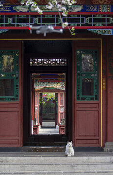 趵突泉海棠院門(mén)庭景色
