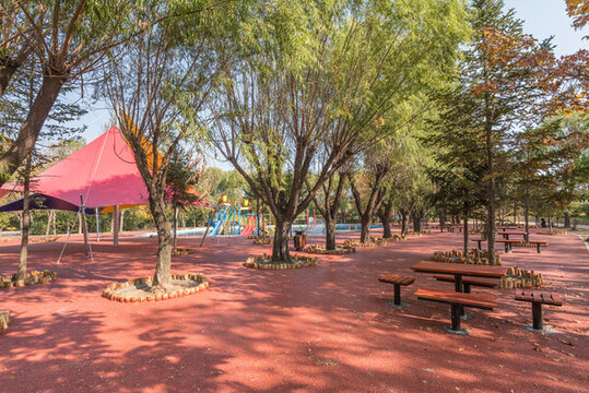 秋季中國沈陽鳥島公園休息區(qū)