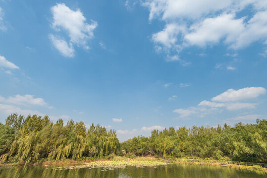 秋天中國(guó)遼寧沈陽(yáng)鳥(niǎo)島風(fēng)景區(qū)