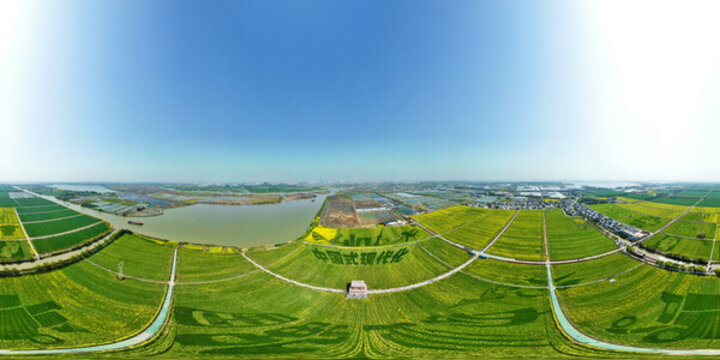 同里北聯(lián)村油菜花VR全景圖