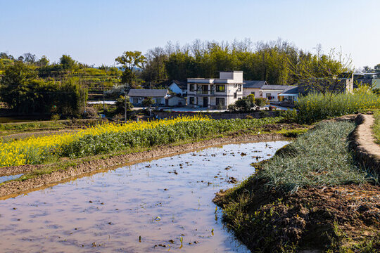田園風光