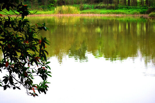 公園