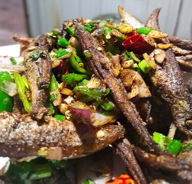 多春魚