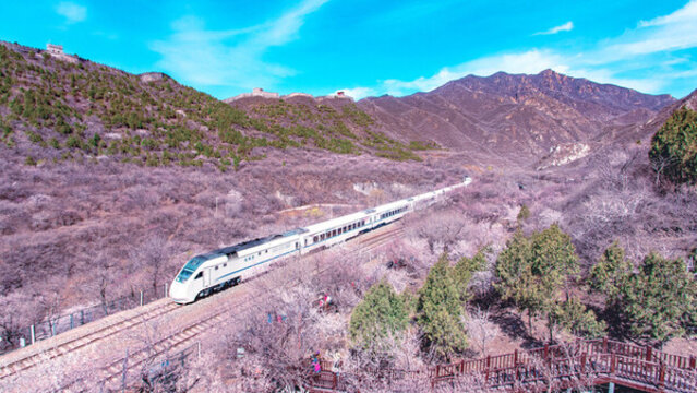 開(kāi)往春天的列車