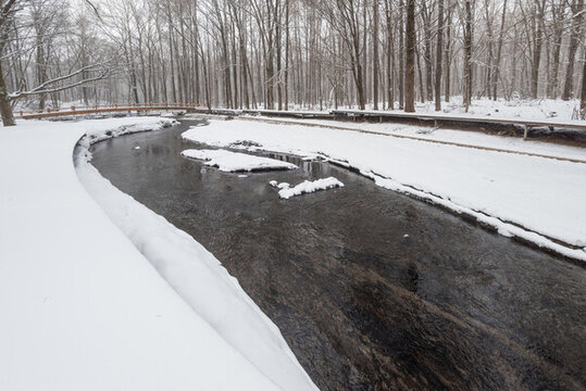 冬季長白山的雪地樹林冰河