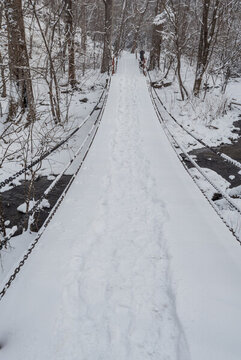 冬季長白山的雪地樹林冰河
