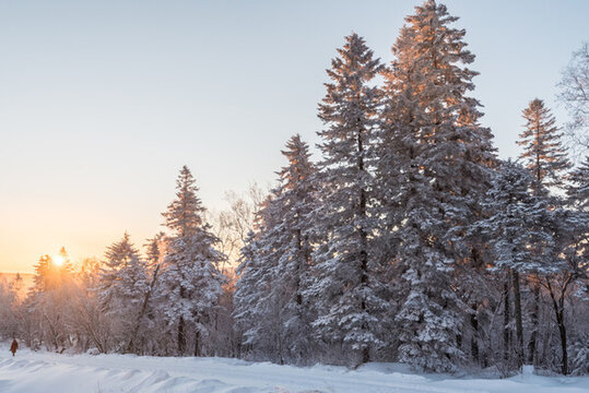 冬季長白山的雪地和霧凇