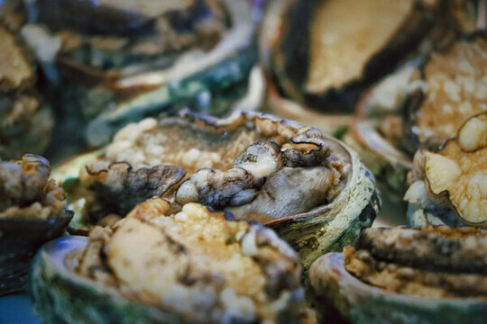 鮑魚營(yíng)養(yǎng)海珍品