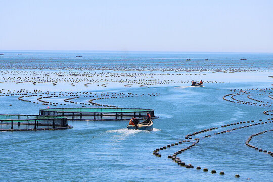 大海養(yǎng)殖漁業(yè)深海漁民漁筏