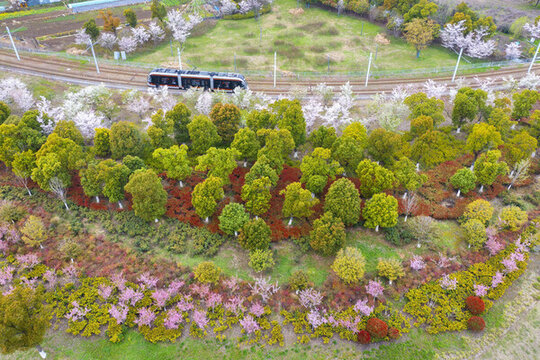 蘇州市樹山村有軌電車