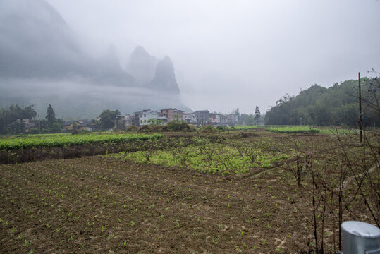 春天煙雨霧