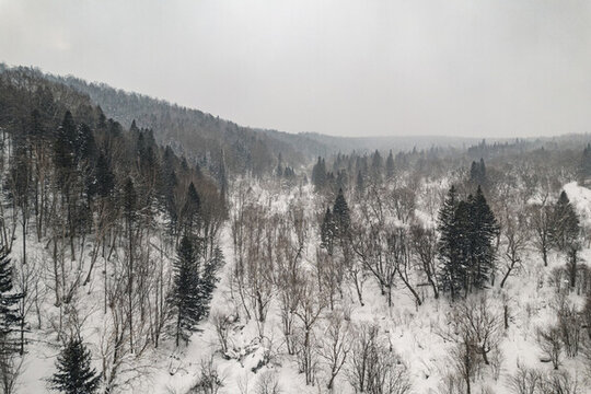 黑龍江東北雪鄉(xiāng)林海雪原森林
