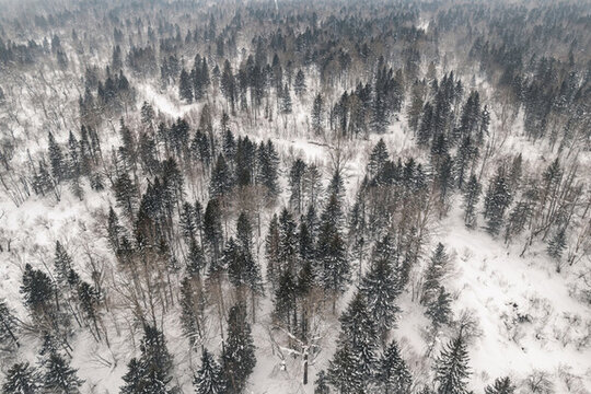 黑龍江東北雪鄉(xiāng)林海雪原森林