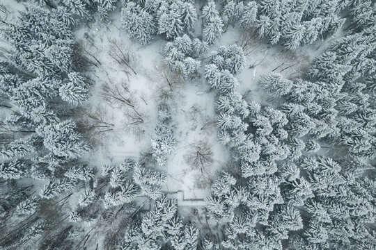 東北林海雪原森林航拍