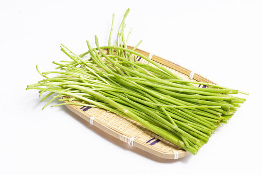 蘆蒿桿