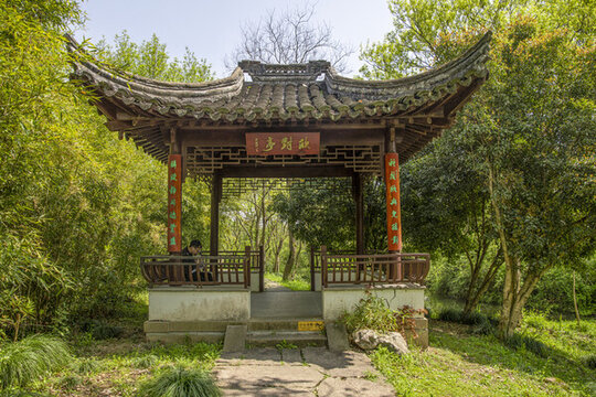 西溪風(fēng)光