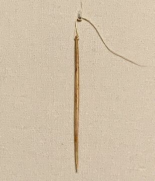 骨針