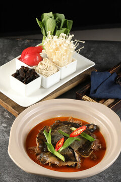 甲魚煲