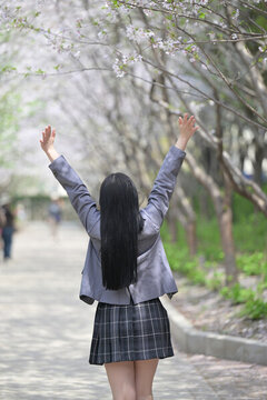 少女賞櫻的背影